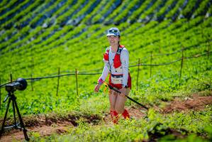 BIB: 
                            <button type="button" onclick="openModal(19162608)" class="btn btn-primary btn-sm float-right btn-popup" data-toggle="modal" data-target=".modal-high-quality">
                        <i class="fas fa-shopping-cart"></i> Add to Cart
                    </button>
                                            <button type="button" onclick="isThisMe(19162608, true)" class="btn btn-success btn-sm float-right btn-popup btn-isme hidden" data-toggle="tooltip" data-placement="bottom" title="นี่คือรูปของคุณใช่ไหม คลิกที่นี่เพื่อเอาเข้าอัลบั้ม">
                        <i class="fas fa-plus"></i> Add to album
                    </button>
                    <button type="button" onclick="isThisMe(19162608, false)" class="btn btn-warning btn-sm float-right btn-popup btn-isnotme hidden">
                        <i class="fas fa-ban"></i> Remove from album
                    </button>